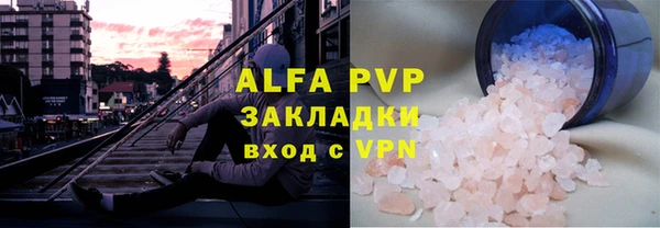 стаф Белокуриха