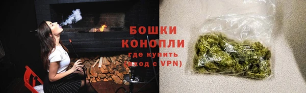 шишки Беломорск