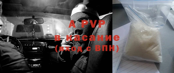 стаф Белокуриха