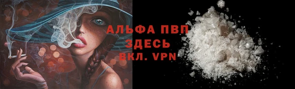 шишки Беломорск