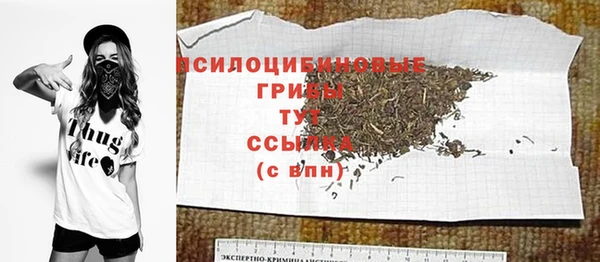 стаф Белокуриха