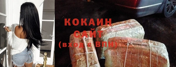 стаф Белокуриха
