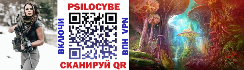 Псилоцибиновые грибы Psilocybe Медынь